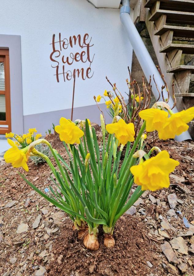 Вилла Daffodils Enscherange Экстерьер фото